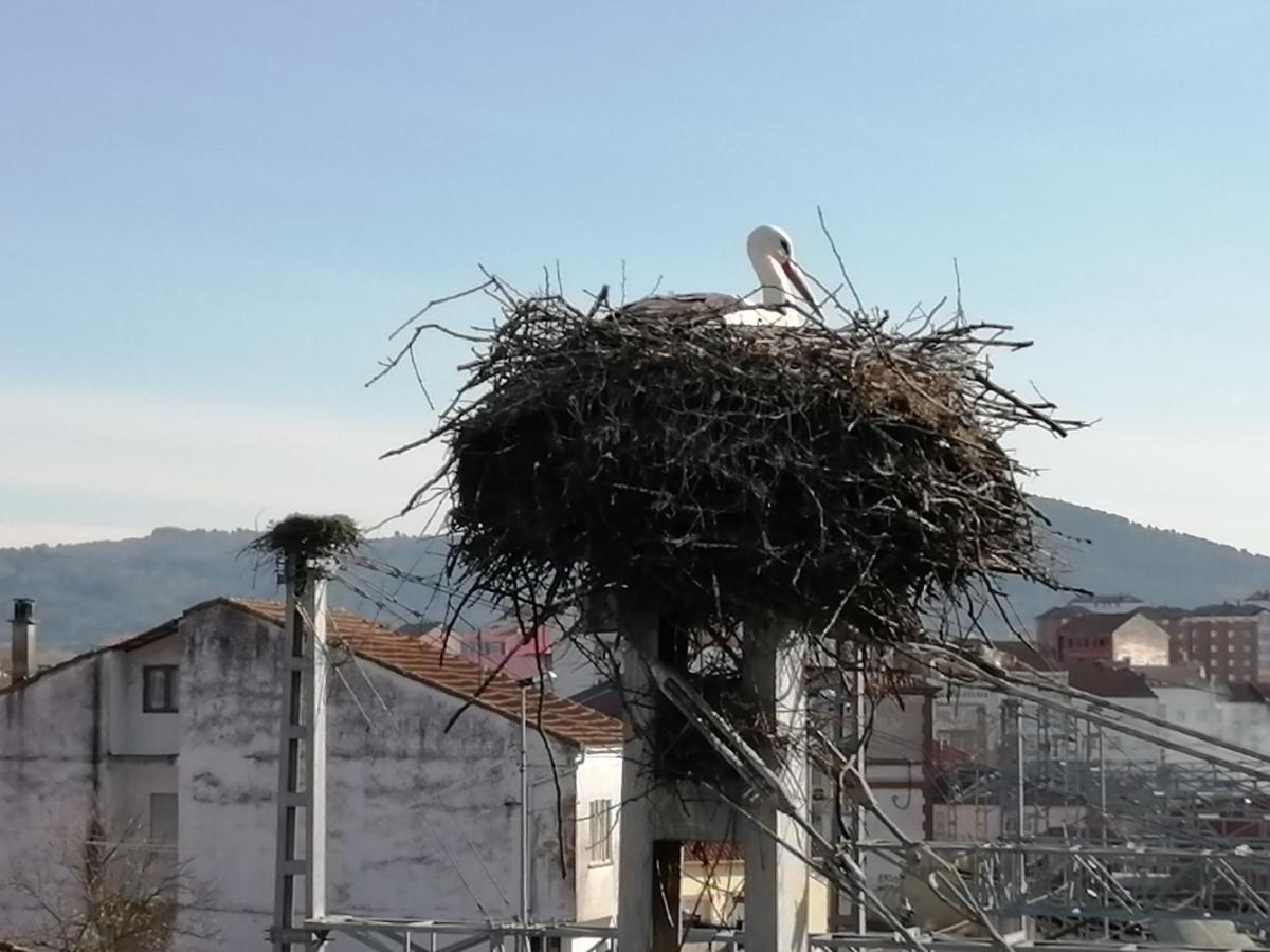 Apartamento Lemavos Monforte De Lemos Exteriör bild